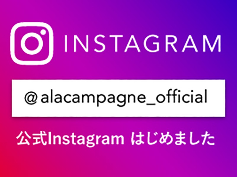 公式インスタグラムはじめました